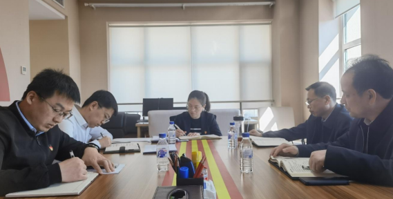 集團(tuán)第四黨支部組織召開2022年度 組織生活會(huì)